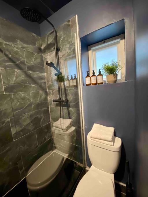 Stylish Studio For 3 Near Regents Park N4 Londres Exterior foto
